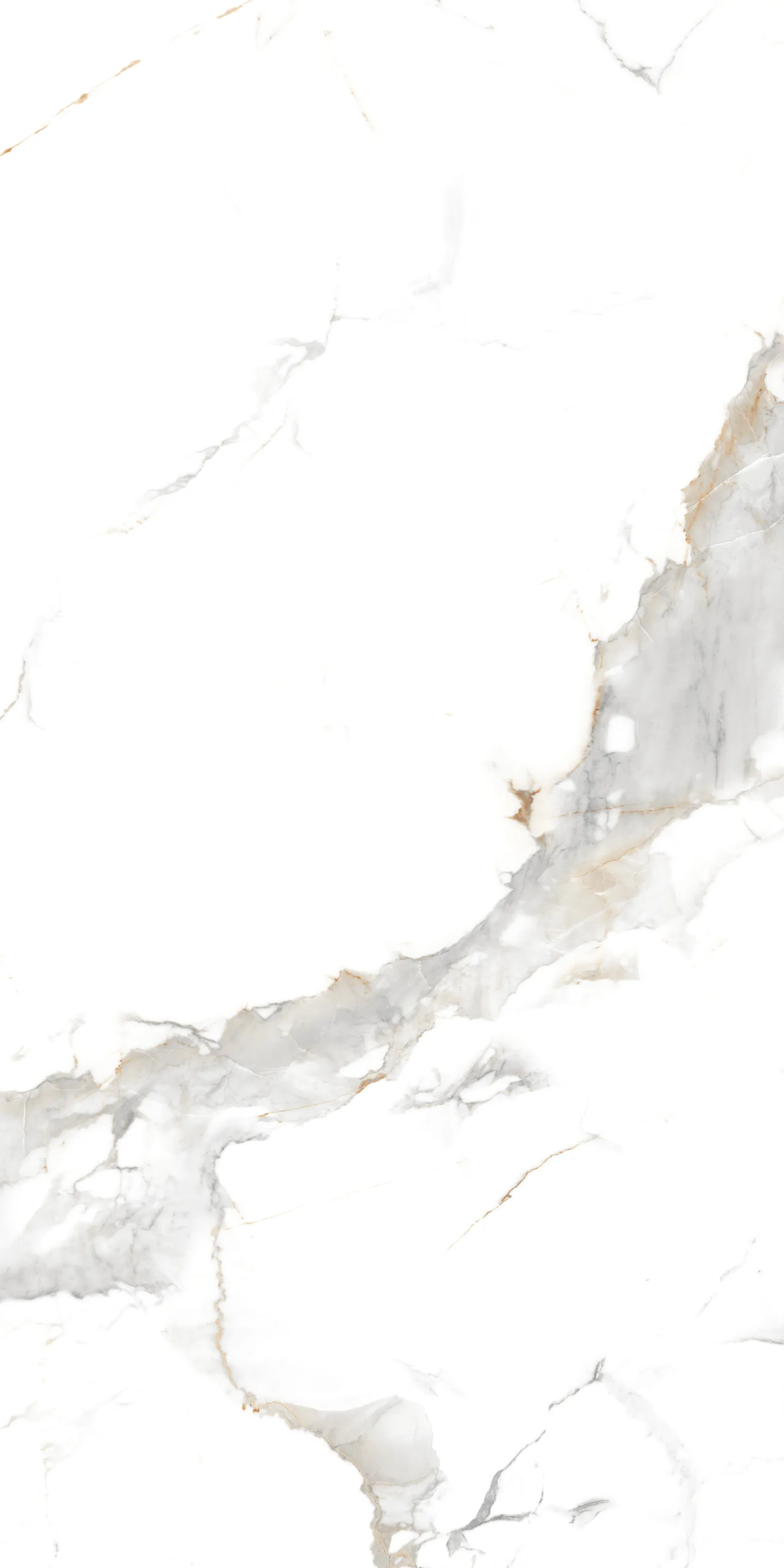 Керамогранит 60х120 белый Maimoon Ceramica Glossy Statuario Cafe Gold