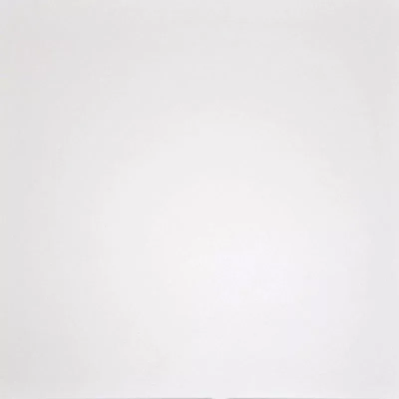 Керамогранит 60x60 белый Grasaro Domino White G-100