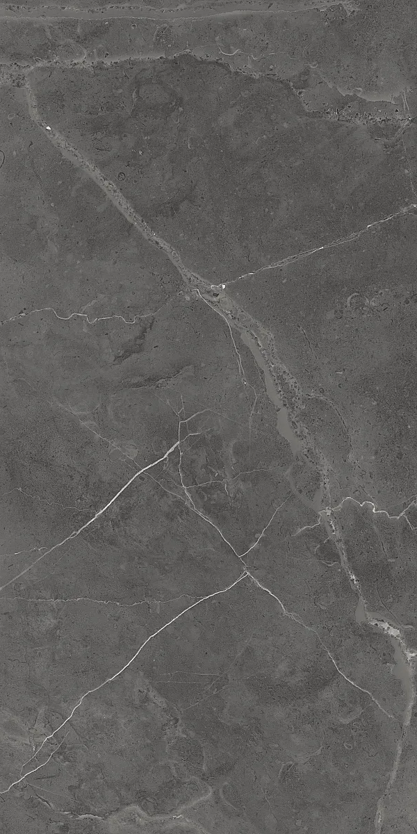 Керамогранит 60х120 серый Art Ceramic Berrys Graffite