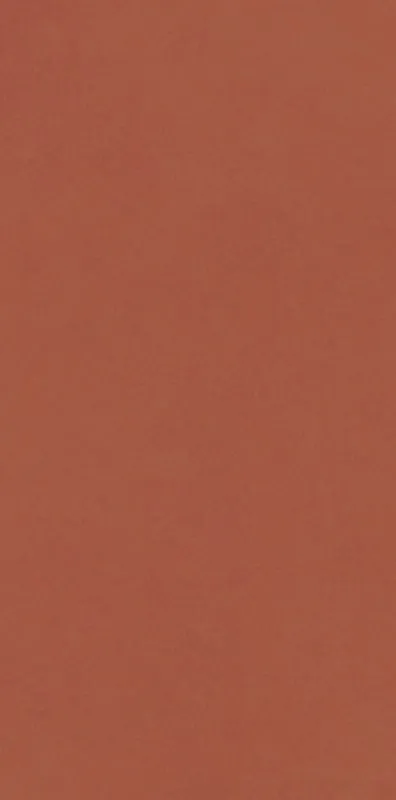 Керамогранит 9.8х19.8 terracotta Paradyz Neve Creative