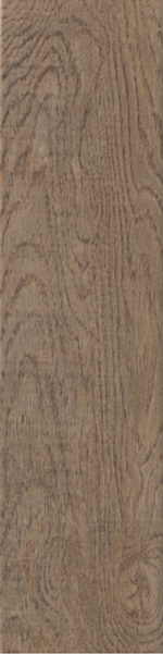 Керамогранит 12.5x50 Ragno Marazzi Eko