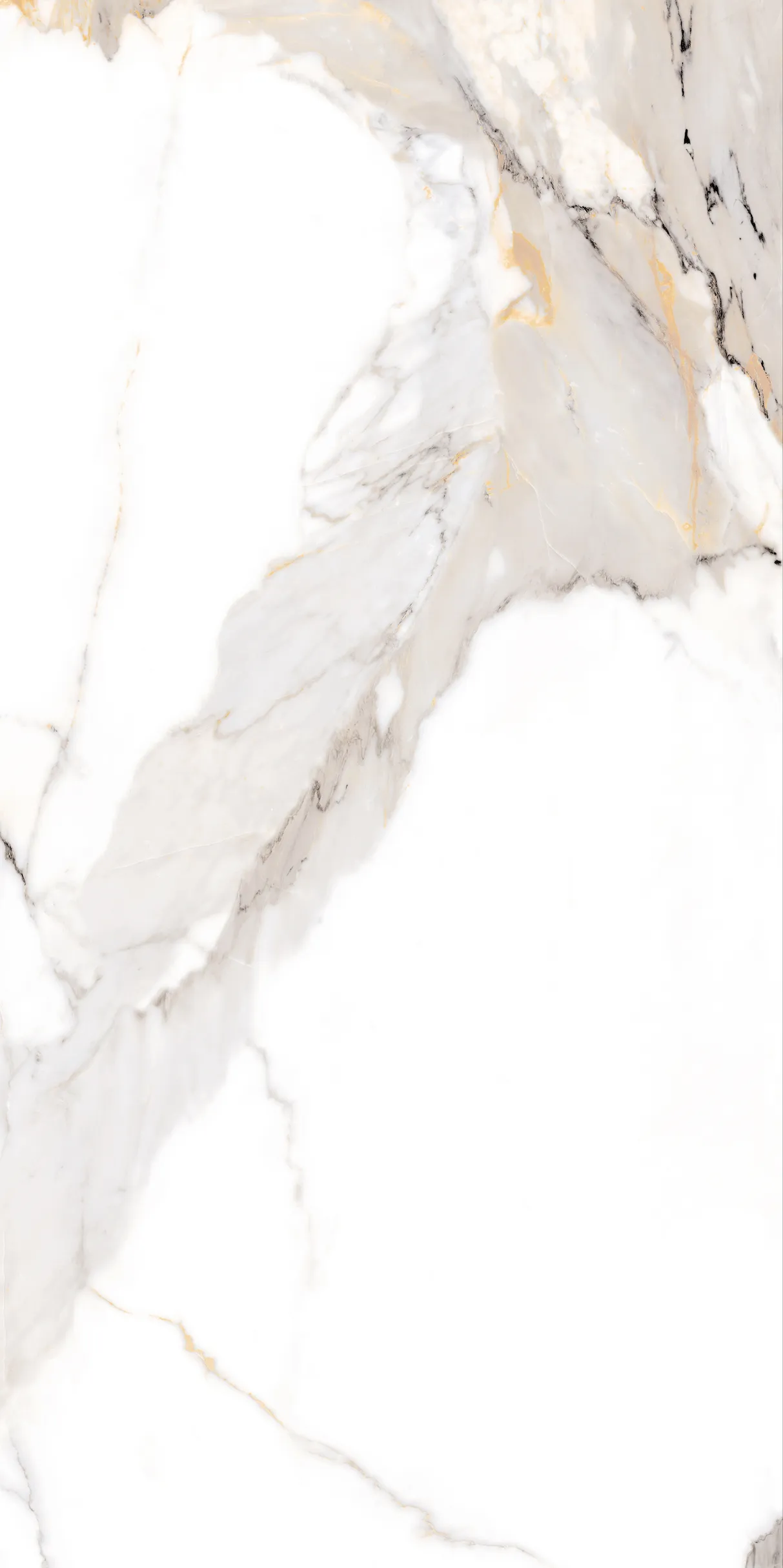 Керамогранит Calacatta Light Grey Mat 60х120 белый NT Ceramic Bright and Shiny NTT9120M