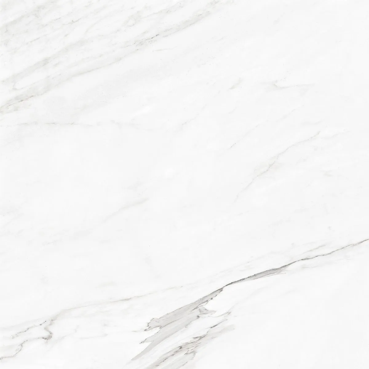 Керамогранит 60х60 серый Prime Ceramics Callacata Silver