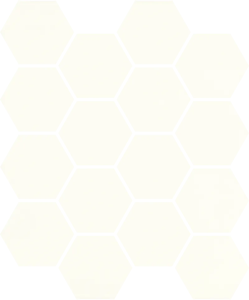 Мозаика 22х25.5 bianco Paradyz Uniwersalne