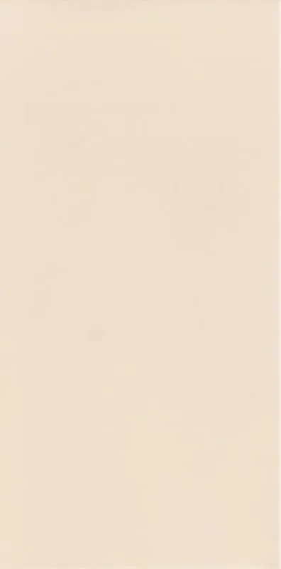 Керамогранит 9.8х19.8 beige Paradyz Neve Creative