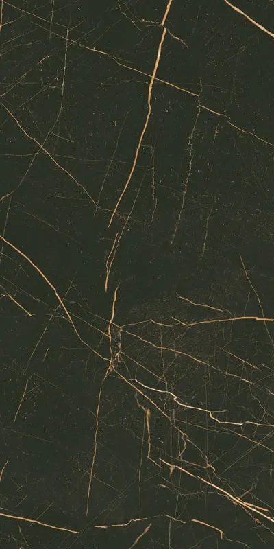 Керамогранит 30х60 black Paradyz Classica Fancy