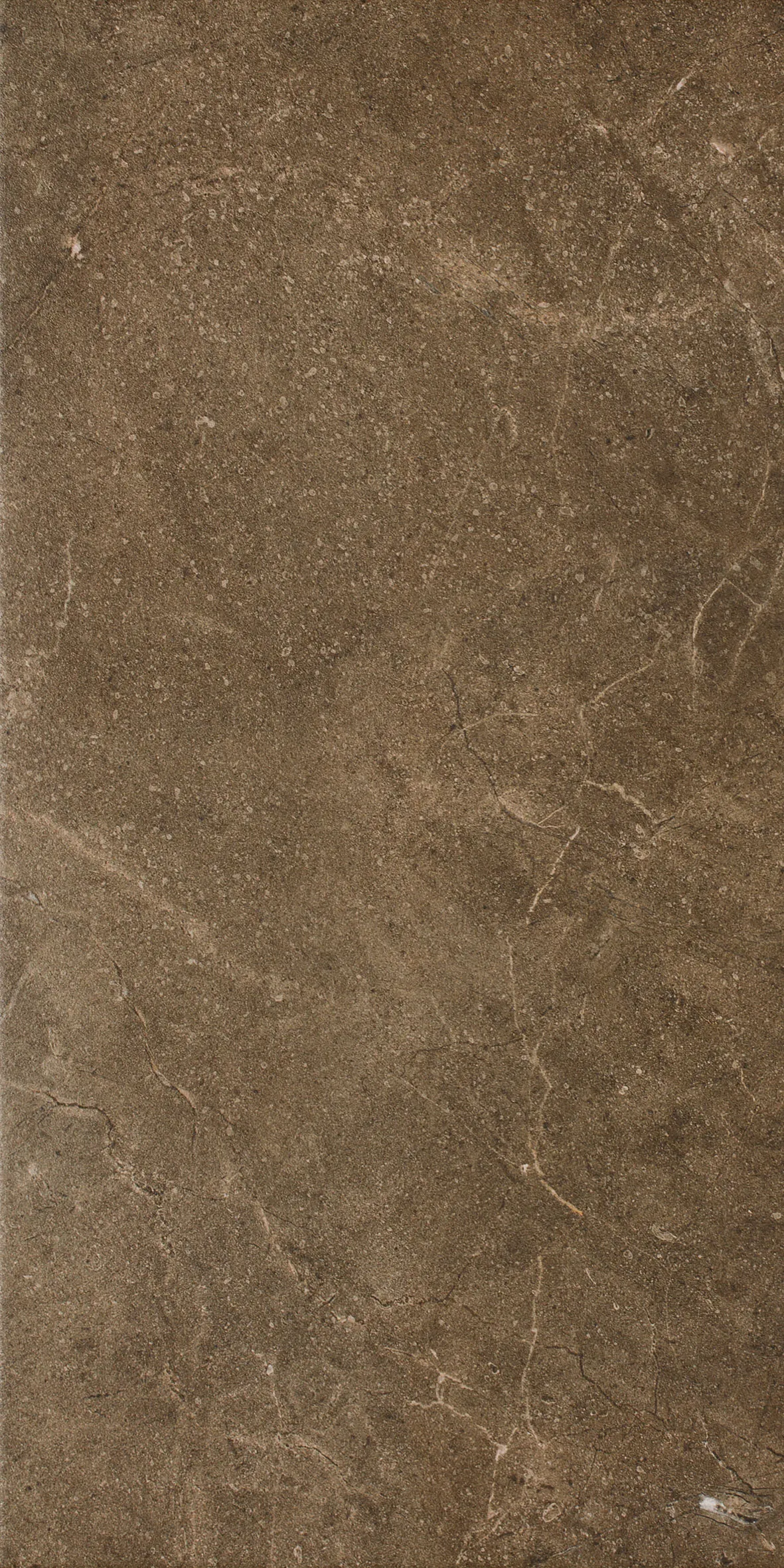 Керамогранит 30х60 brown Paradyz Ibis