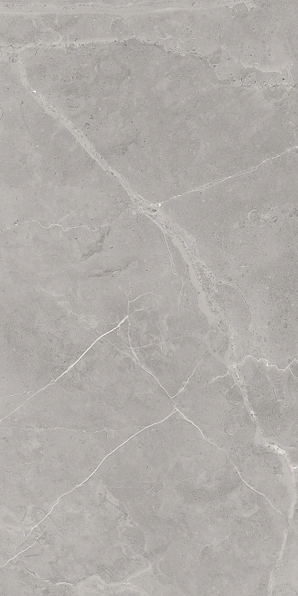 Керамогранит 60х120 серый Art Ceramic Berrys Grey