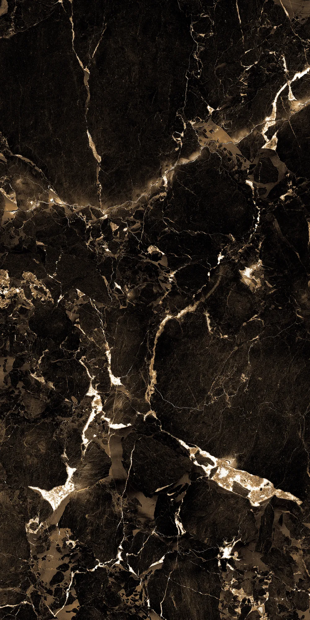 Керамогранит 60х120 черный Maimoon Ceramica HG Glossy Imperial Gold