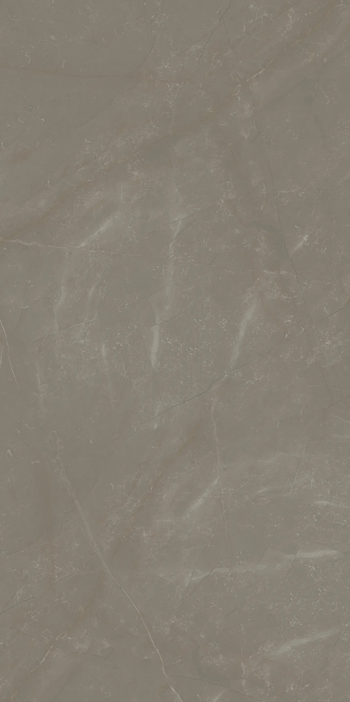 Керамогранит 59.8х119.8 taupe Paradyz Linearstone