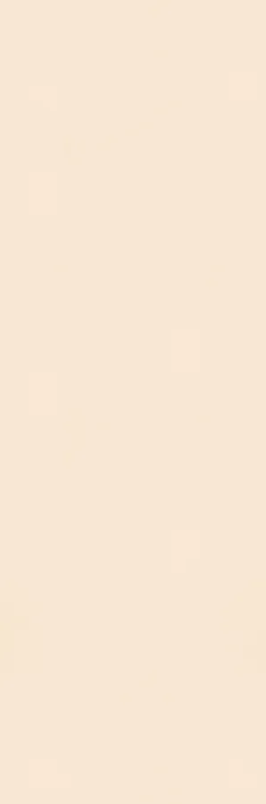 Керамогранит 29.8х89.8 beige Paradyz Neve