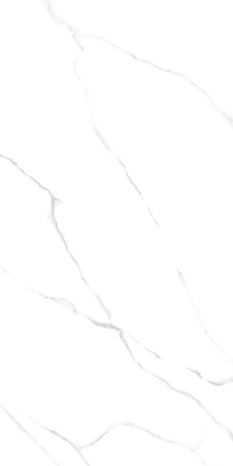 Керамогранит 60x120 LCM Atlantic Marble 60120AMR00P