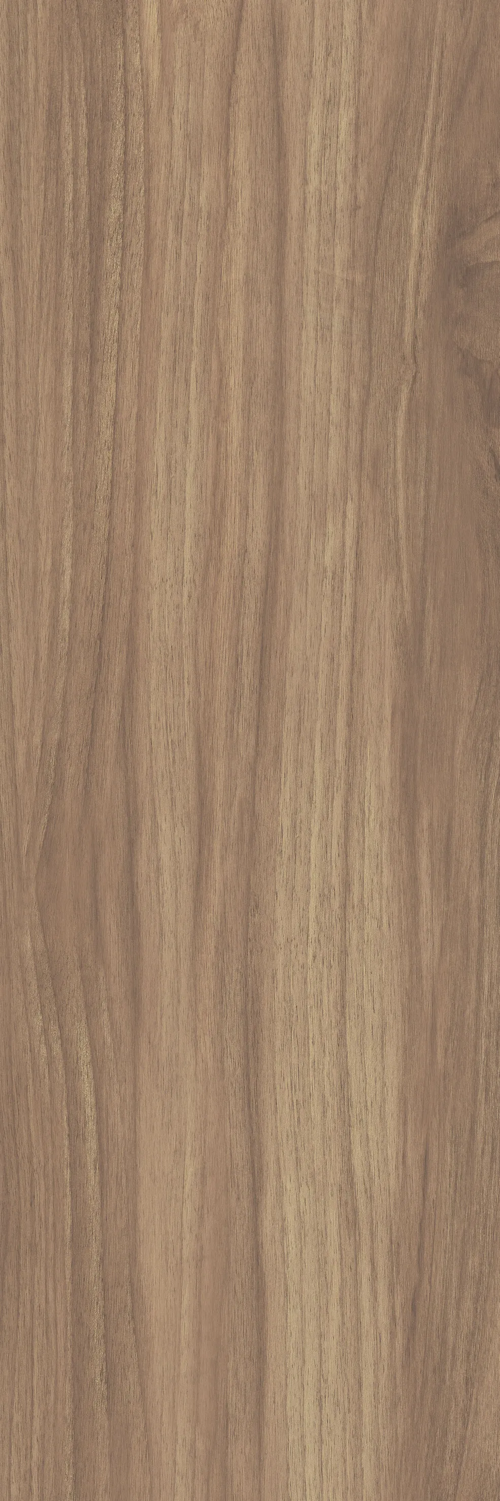 Керамогранит 20х60 honey Paradyz Classica Lightmood