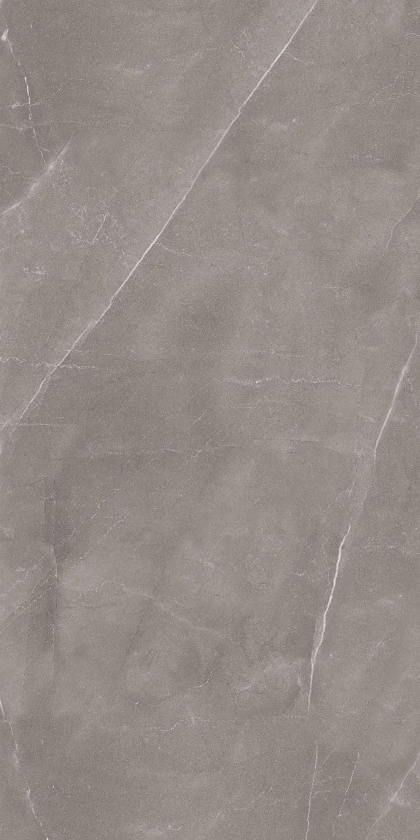 Керамогранит 60х120 серый Art Ceramic Armani Gris