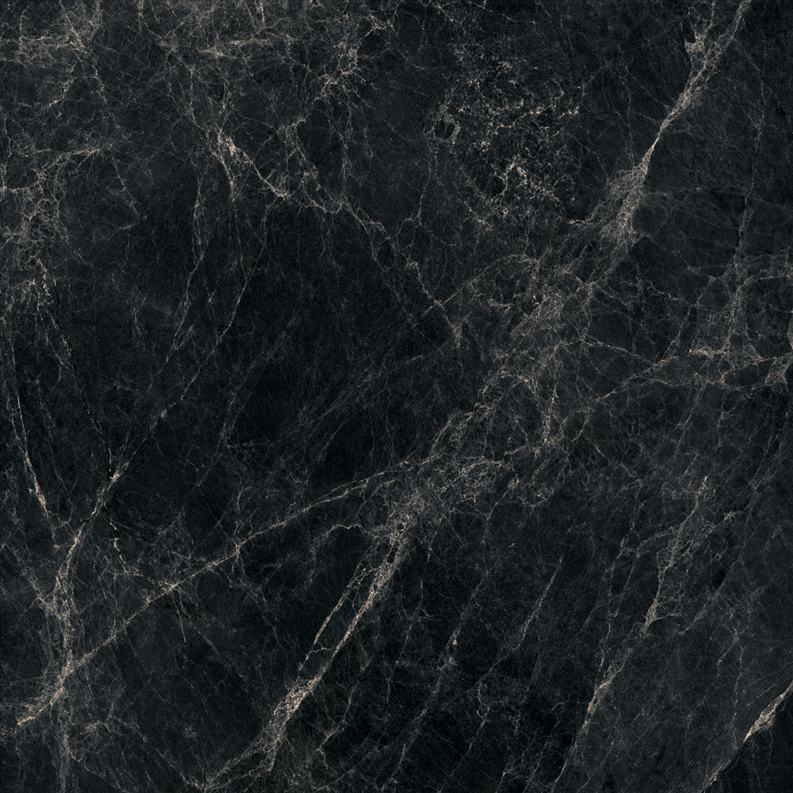Керамогранит 60x60 Bluezone Worner Black Sugar
