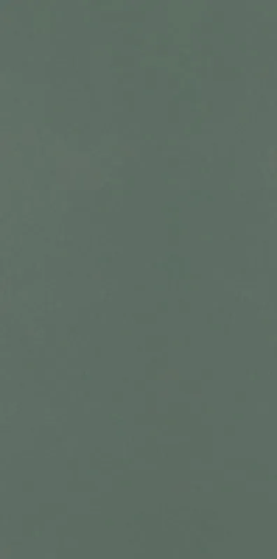 Керамогранит 9.8х19.8 dark green Paradyz Neve Creative