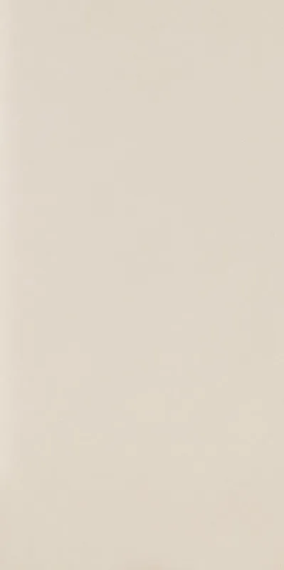 Керамогранит 44.8х89.8 bianco Paradyz Intero