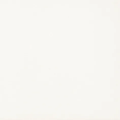 Керамогранит 19.8х19.8 bialy Paradyz Gamma/Gammo