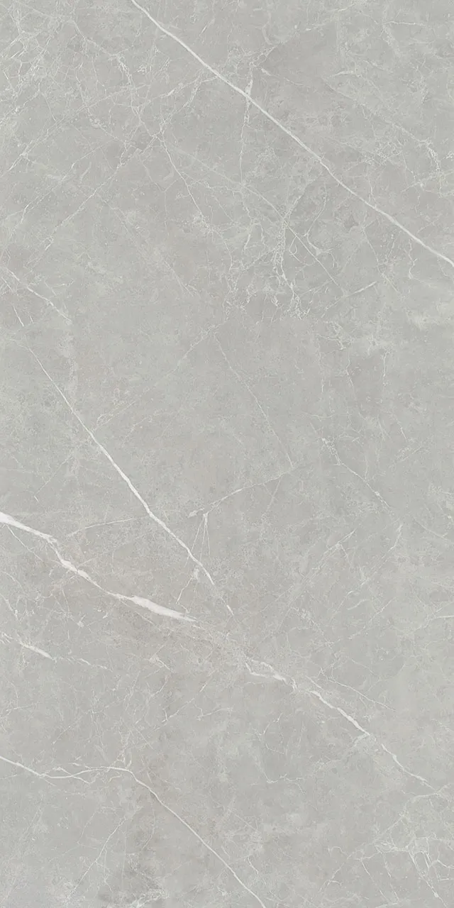 Керамогранит 60х120 серый NT Ceramic Pietra PT612NTT1101L