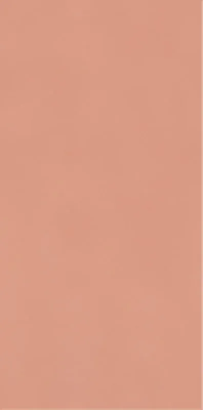 Керамогранит 9.8х19.8 blush Paradyz Neve Creative