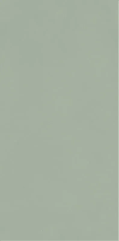 Керамогранит 9.8х19.8 green Paradyz Neve Creative