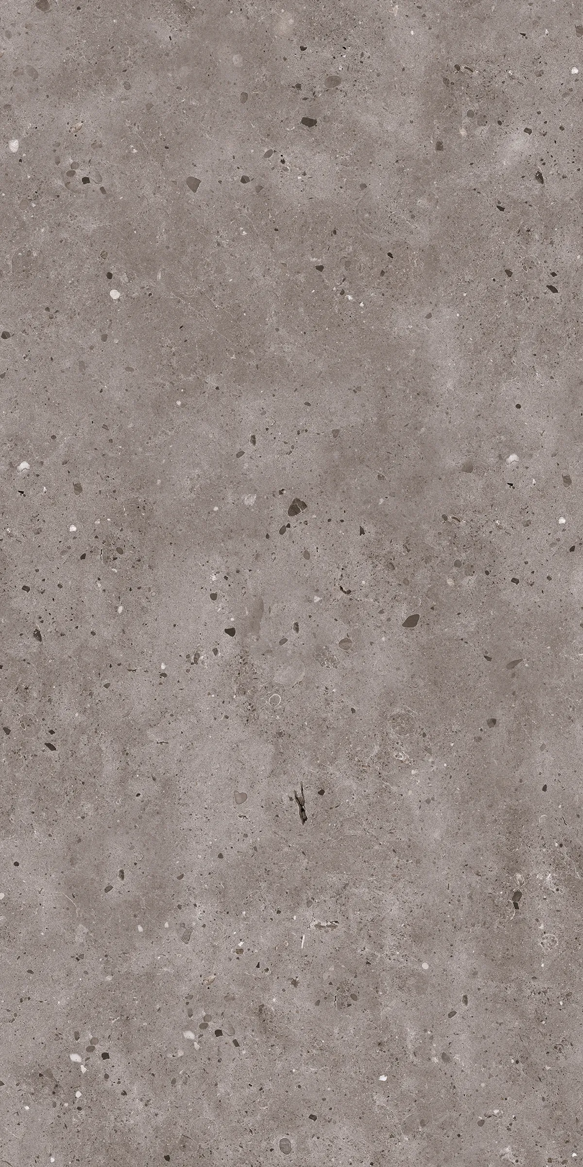 Керамогранит 60х120 серый Maimoon Ceramica Carving Cronos Cool Grey