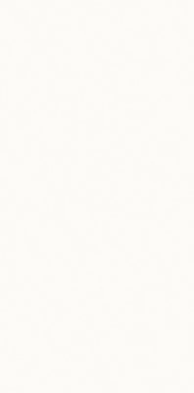 Керамогранит 9.8х19.8 bianco Paradyz Neve Creative