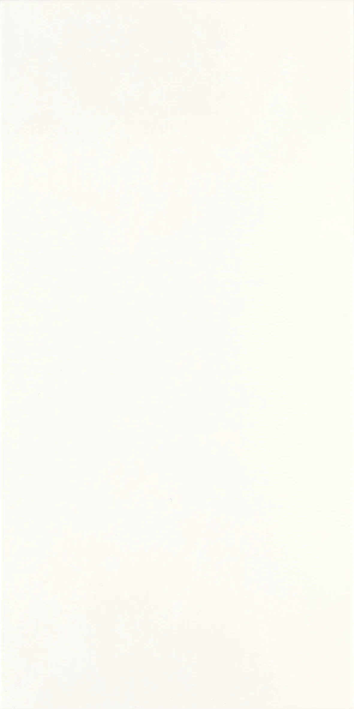 Керамогранит 30х60 bianco Paradyz Classica Fiori