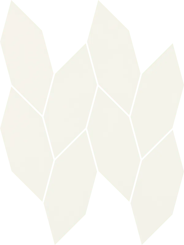 Мозаика 22.3х29.8 bianco Paradyz Uniwersalne