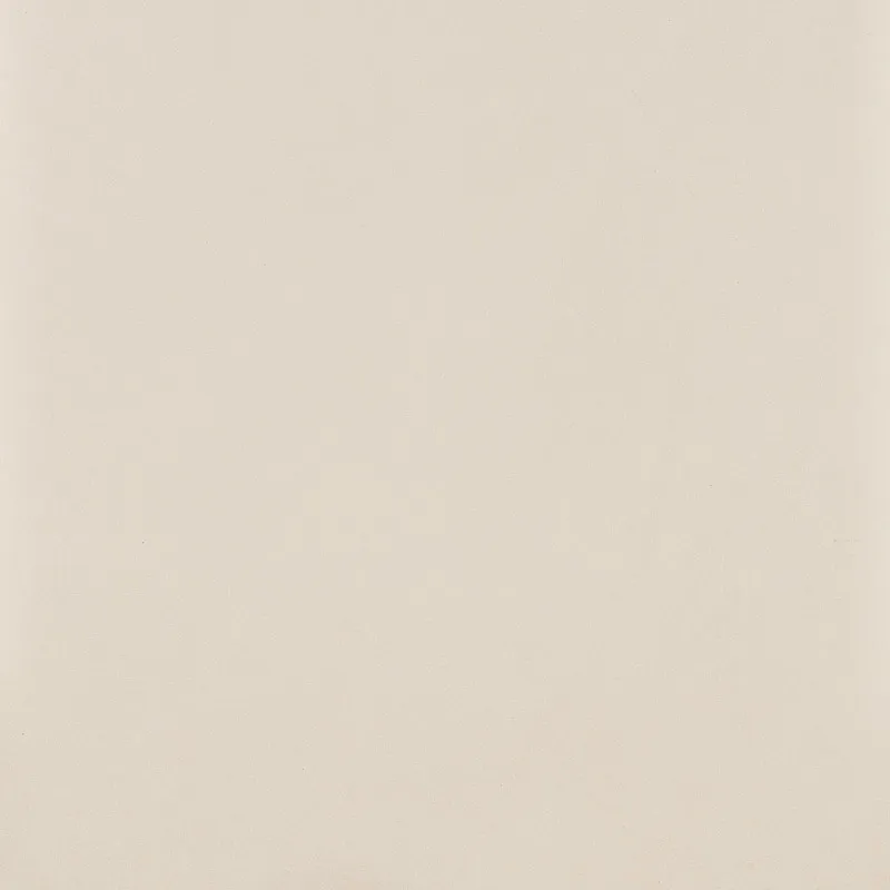 Керамогранит 59.8х59.8 bianco Paradyz Intero