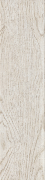 Керамогранит 12.5x50 Ragno Marazzi Eko