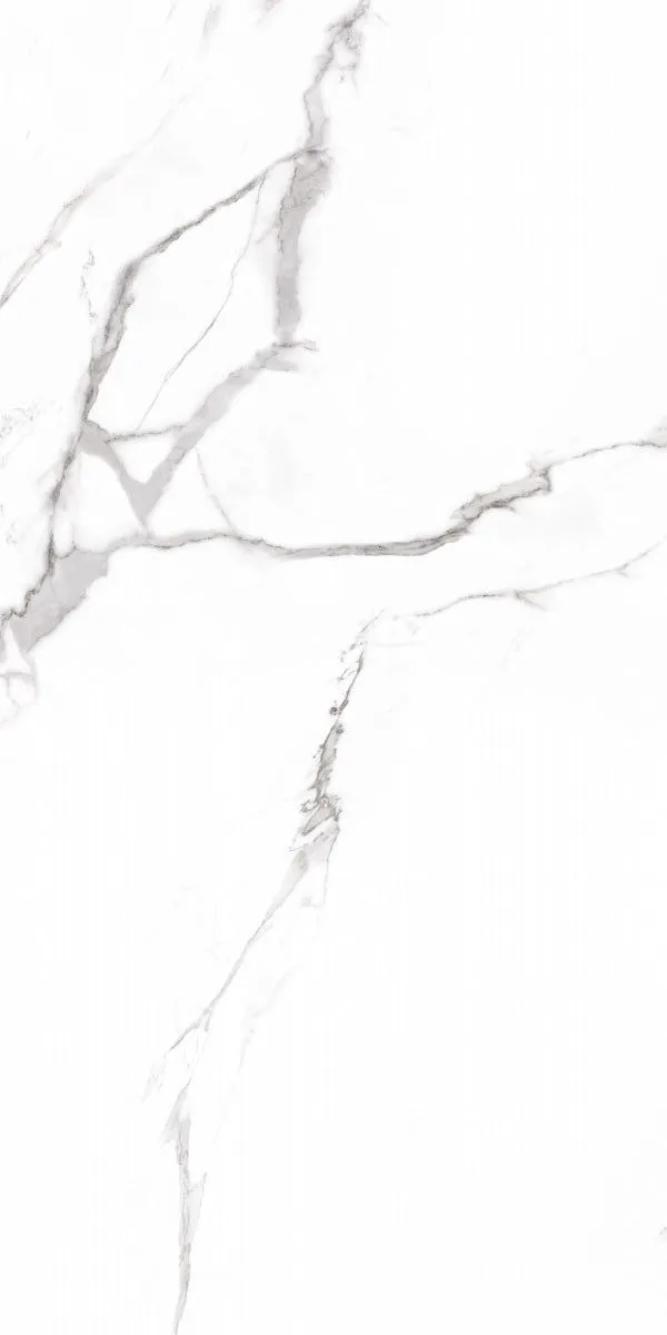 Керамогранит 60х120 белый Prime Ceramics Carrara