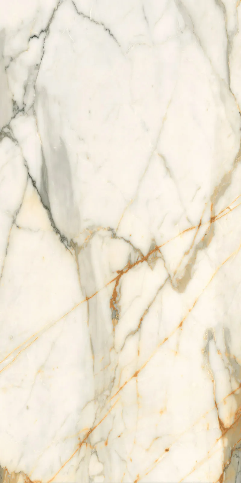 Керамогранит 60x120 LCM Calacatta Borghini 60120CBO55P