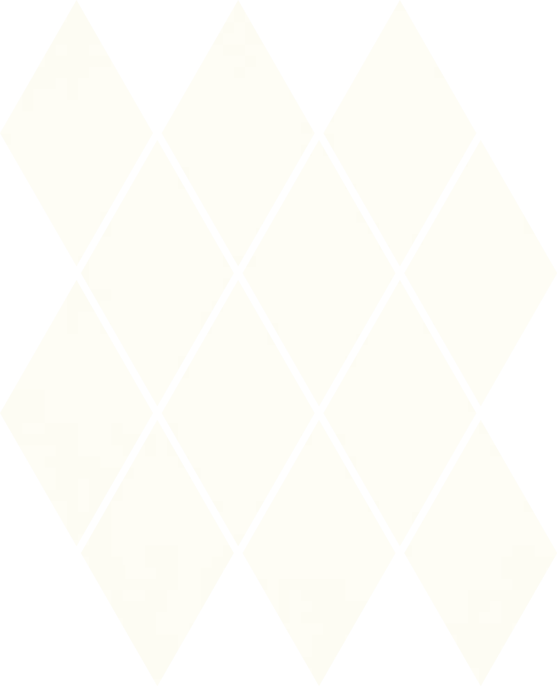 Мозаика 20.6х23.7 bianco Paradyz Uniwersalne